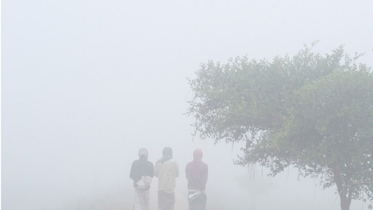 শীতার্তদের পাশে দাঁড়ান