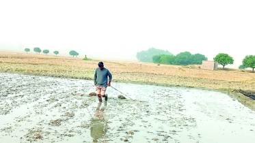 বরেন্দ্র অঞ্চলে ভূগর্ভস্থ পানির তীব্র সংকট