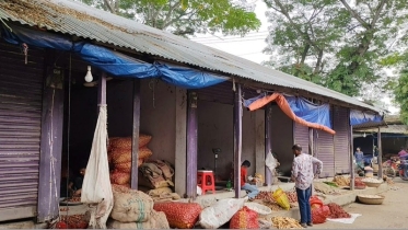 মহিলা আ.লীগ নেত্রীর বিরুদ্ধে সরকারি জমিতে মার্কেট নির্মাণের অভিযোগ