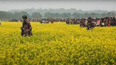 বিজিবির জন্য কেনা হচ্ছে নতুন অস্ত্র!