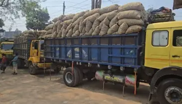 আলু নষ্টের আশঙ্কায় কৃষক, হিমাগারে আলু পরিবহনের লম্বা সিরিয়াল