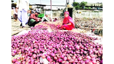 বায়ান্ন বাজার তপ্পিান্ন গলি