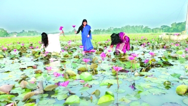 প্রকৃতি যেন মুগ্ধতা ছড়াচ্ছে, বাড়ছে দর্শনার্থী