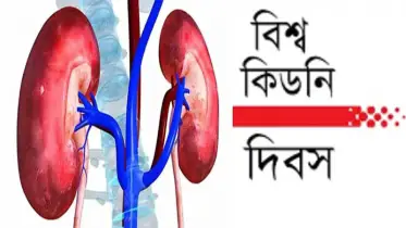 দেশে মোট রোগী ৩ কোটি ৮০ লাখ, ডায়ালাইসিসে নির্ভরশীল ৪০ হাজার