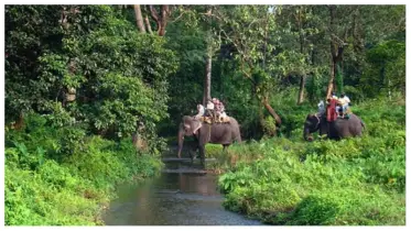 পরবর্তী প্রজন্ম রক্ষায় আমাদের বন রক্ষা করতে হবে: ড. জাহাঙ্গীর আলম