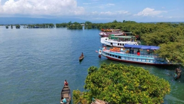 টাঙ্গুয়ার হাওড়ে গোসলে নেমে ব্যাংক কর্মকর্তা নিখোঁজ 