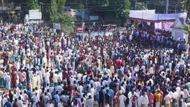 হাতিয়ায়  জাতীয়  বিপ্লব ও সংহতি দিবসে বিএনপির জনসভা