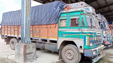 ভারত থেকে বেনাপোলে পৌঁছেছে ২ লাখ ৩১ হাজার পিস ডিম