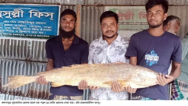 কুয়াকাটায় জেলের জালে ধরা পড়ল ১৪ কেজির পোয়া ॥ বিক্রি ১০ হাজার টাকায়