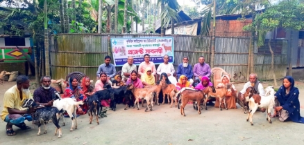 কুড়িগ্রাম অসহায়দের মাঝে বিনামূল্যে ছাগল বিতরণ