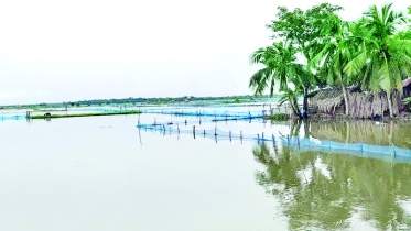 বাগেরহাটে ভেসে গেছে শত শত ঘের