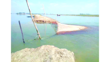 হাওড়ে ফসলরক্ষা বাঁধ কেটে মাছ শিকার