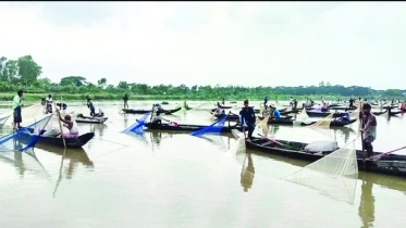 প্রাকৃতিক মৎস্য প্রজনন ক্ষেত্র হালদা অরক্ষিত