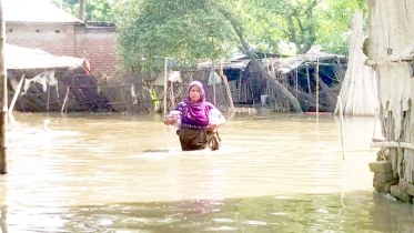 মেহেরপুরে শতাধিক পরিবার পানিবন্দি