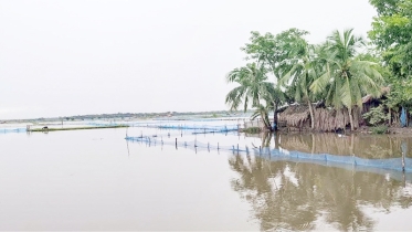 বাগেরহাটে মেলেনি সরকারি সহায়তা