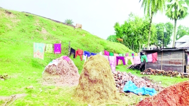 ঐতিহাসিক হলুদ বিহার এখন গবাদি পশুর চারণভূমি