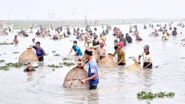 হবিগঞ্জে মাছ ধরতে পলোবাইচ উৎসব