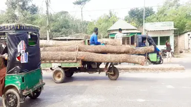 মহাসড়ক দাপিয়ে বেড়াচ্ছে তিন চাকার গাড়ি, বাড়ছে মৃত্যু