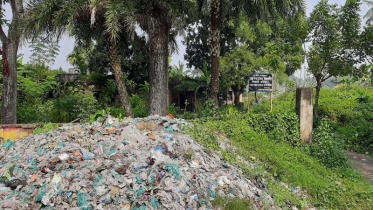 নওয়াপাড়া পৌরসভার বর্জ্য ব্যবস্থা নাজুক, যত্রতত্র ময়লার ভাগাড়,পরিবেশ বিপর্যস্ত,জনজীবন অতীষ্ঠ