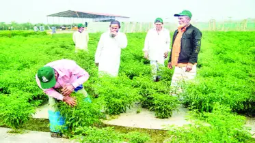 কৃষি গবেষণায় উন্মুক্ত হচ্ছে নতুন দিগন্ত