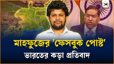 উপদেষ্টা মাহফুজের ফেসবুক পোস্ট নিয়ে ভারতের  কড়া প্রতিবাদ