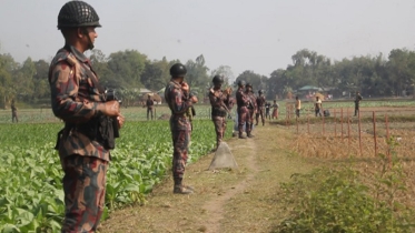 সীমান্তে বিএসএফের একের পর এক আইন লঙ্ঘন