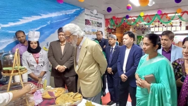 পিঠা শুধু খাবার নয়, ঐতিহ্য ও উদযাপনের প্রতীকও: উপদেষ্টা হাসান আরিফ