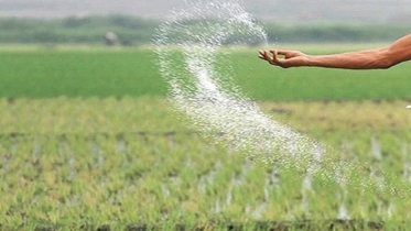 এক লাখ ৪০ হাজার টন সার কিনবে সরকার, ব্যয় ৬৩৭ কোটি