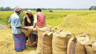 হবিগঞ্জে আমন ধান ও চাল সংগ্রহের লক্ষ্যমাত্রা নির্ধারণ