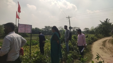 আ.লীগ নেতার দখলে থাকা সরকারি জমি উদ্ধার