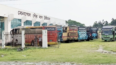 বেনাপোলে বন্ধ দূরপাল্লার বাস, ভো*গান্তিতে যাত্রীরা