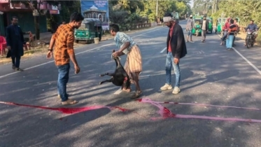 দুর্ঘটনা রোধে সড়কে ঢালা হলো পশু জবাই করে রক্ত