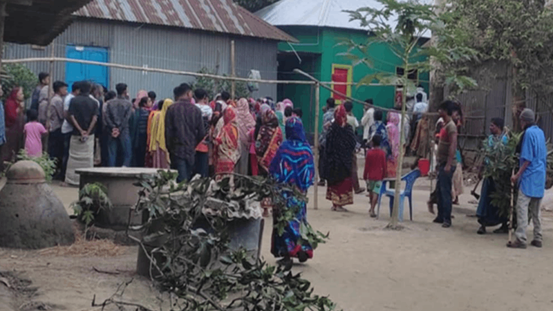 টাঙ্গাইলের ঘাটাইলে ষাঁড়ের গুঁতায় প্রাণ গেল গৃহবধূর