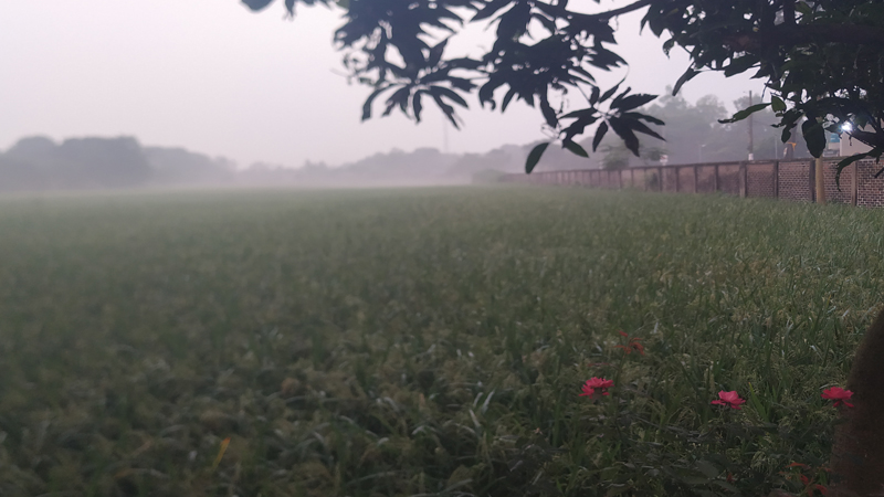 উত্তরের জনপদ ঠাকুরগাঁওয়ে কুয়াশায় ভরা হেমন্তে চলছে শীত-গরমের খুনসুটি