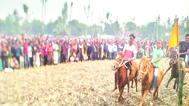 ঠাকুরগাঁওয়ে ঘোড়দৌড়  দেখতে ভিড়