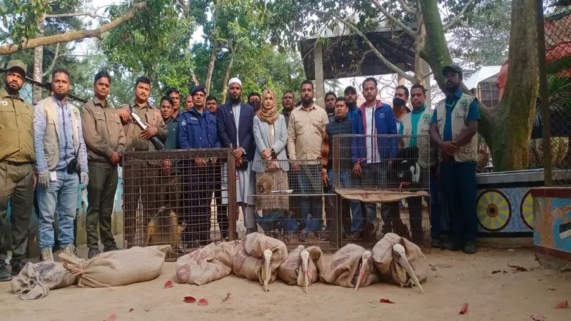 স্বপ্নপুরী পার্কে বন বিভাগের অভিযান: আটক ৭৪টি বন্যপ্রাণী উদ্ধার