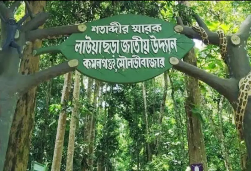 বণ্যপ্রাণীর অভয়ারণ্য লাউয়াছড়া জাতীয় উদ্যান