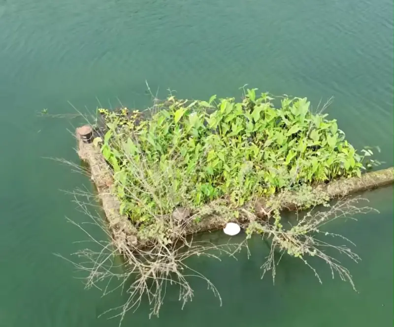 বুলডোজার দিয়েও সরানো যায়নি, পানিতে ভাসমান কবরটি