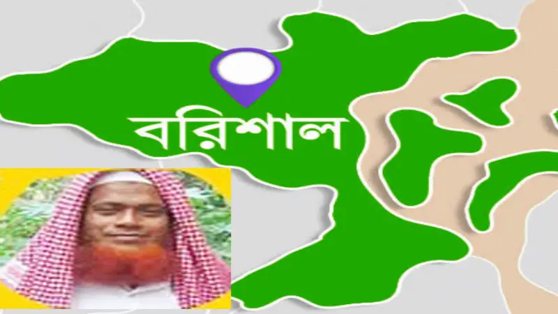 ছোট ভাইয়ের লাশ দেখে বড় বোনের মৃত্যু