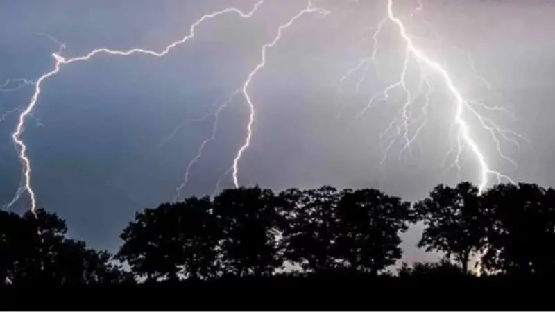নেত্রকোনার হাওড়ে বজ্রপাতে ৩ কৃষকের মৃত্যু