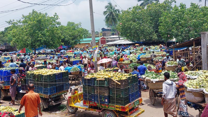 আগের অবস্থায় ফিরছে কানসাট আম বাজার