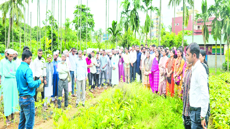 ৫০ হাজার কৃষি উদ্যোক্তা তৈরি করবে কৃষি মন্ত্রণালয়