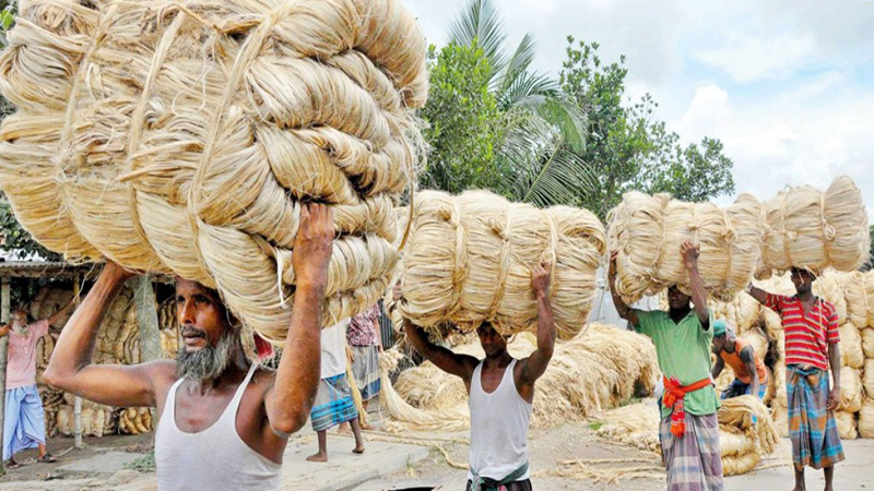 ঘুরে দাঁড়াতে সরকারের সহযোগিতা চান পাটশিল্প ব্যবসায়ীরা