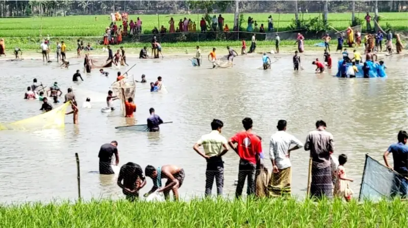 মাইকে ঘোষণা দিয়ে মাছ ধরাকে কেন্দ্র করে সংঘর্ষ-অগ্নিসংযোগ, আহত ১৩