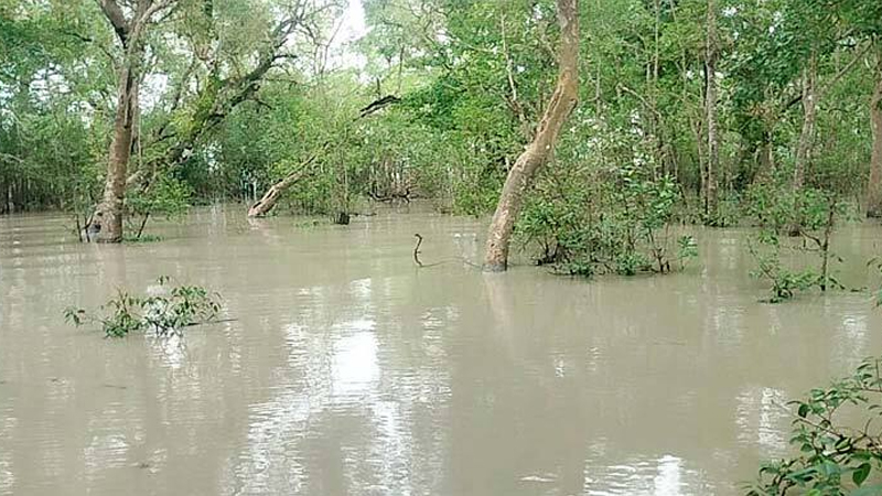 জলোচ্ছ্বাসে তলিয়ে গেছে সুন্দরবন