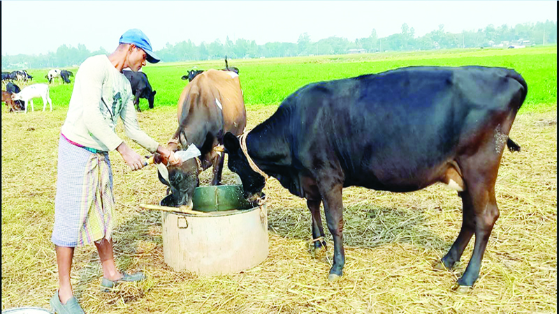 বাংলার রাখাল বালক