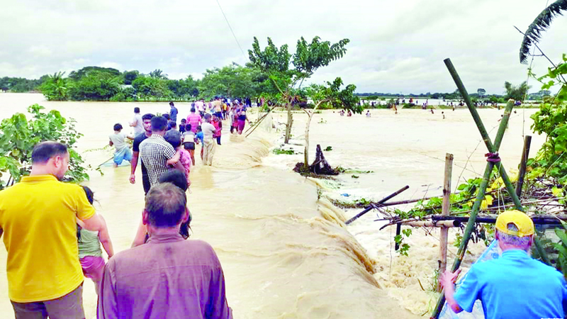 বন্যায় মানবিক বিপর্যয়