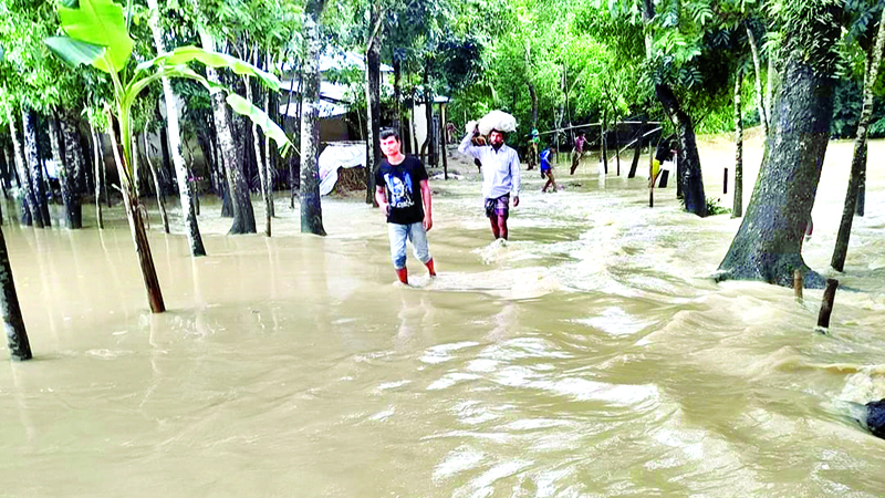 বন্যায় আরও নতুন এলাকা প্লাবিত, ফসল ও মাছের ব্যাপক ক্ষতি