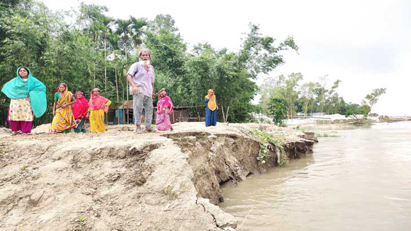 যমুনার ভাঙনে দিশাহারা মানুষ