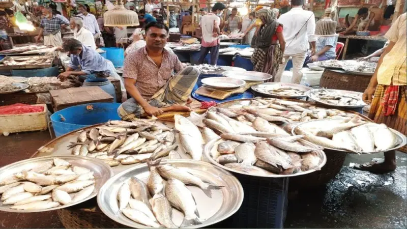 জানা গেল মাছ বাজারের অস্থিরতার কারণ 